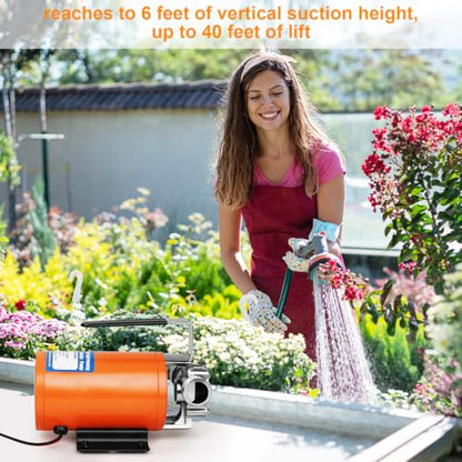 12V Water Transfer Pump 1/10HP Electric Water Pump Utility Pump-Orange - style: Orange-Standard