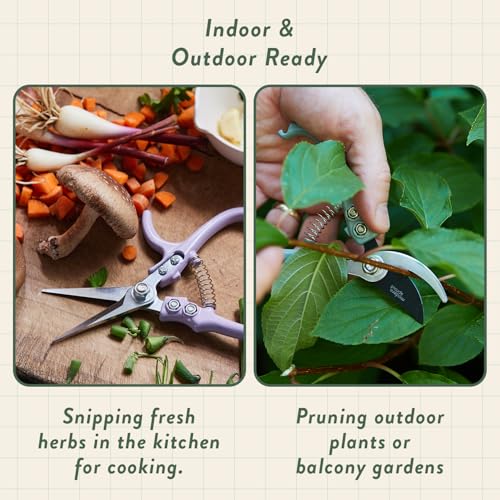 Modern Sprout Hydroponic Grow + Harvest Bundle - color: Cilantro Garden Jar + Chartreuse Shears