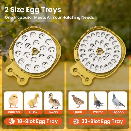 18 Egg Incubator for Hatching Eggs with Automatic Turning, View for Chicken
