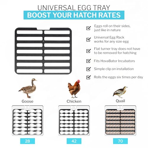 IncuTurn™ Automatic Egg Turner for HovaBator Incubators, Egg Turner Tray