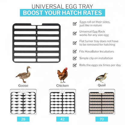 IncuTurn™ Automatic Egg Turner for HovaBator Incubators, Egg Turner Tray