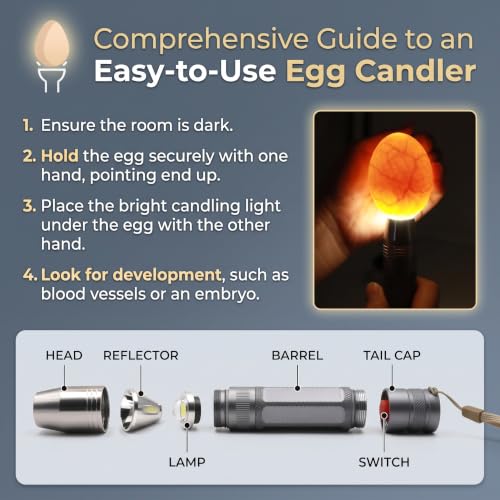 Egg Candler for Chicken Eggs, Rechargeable USB Egg Candling Light - color: Dark Silver