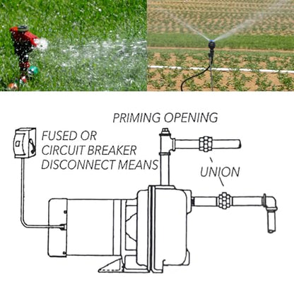 GT15 Self-Priming Centrifugal Pump,1.5HP Motor/230 Volts