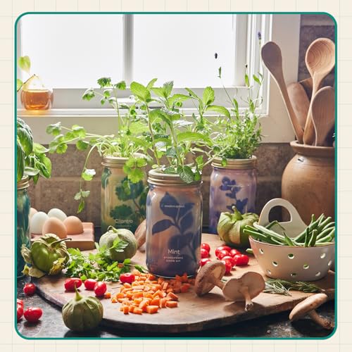 Modern Sprout Hydroponic Grow Kit Bundle with Herb Saver Set - color: Garden Jar 3pk+ Keeper
