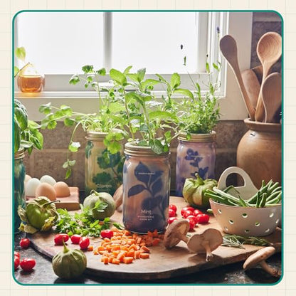 Modern Sprout Hydroponic Grow Kit Bundle with Herb Saver Set - color: Garden Jar 3pk+ Keeper
