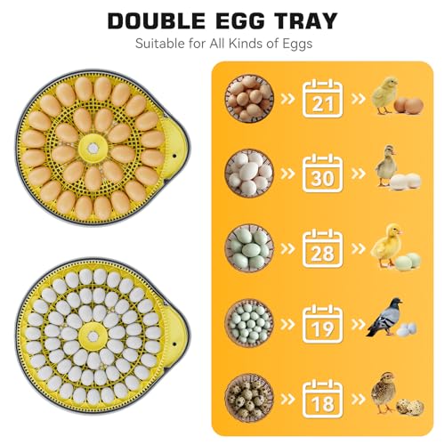 IBKINXX 26 Egg Incubator for Hatching Eggs - Smart Voice Guidance