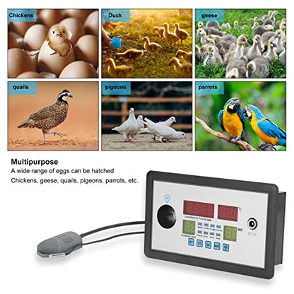 TOPINCN Egg Incubator Automatic Intelligent Incubator Thermostat Egg Incubator Controller for Hatching Chickens Ducks Birds Eggs Home 12V