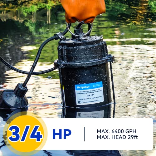Acquaer 3/4 HP Submersible Sewage Pump 6400 GPH Cast Iron Effluent Pump - color: Dark