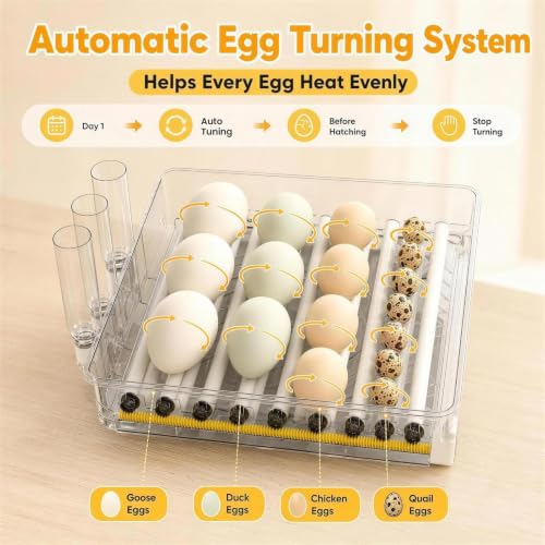 288 Egg Incubator for Hatching Eggs with Auto Turner, Temp Control, Candler - color: 288 Egg