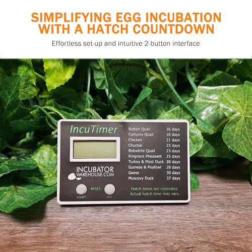 IncuTimer™ Digital Hatch Countdown Timer for Egg Incubator, 90 Day Maximum