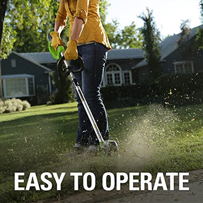 Greenworks 40V 12 in Cordless String Trimmer, 2.0 Ah Battery and Charger - size: 12" (Battery Included), style: String Trimmer