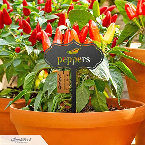 RealSteel Metal Seed & Plant Markers – Elegant Indoor & Outdoor Garden Stakes – Durable Herb, Vegetable & Fruit Plant Labels for Pots, Raised Beds & Greenhouse – Farmhouse Garden Gift - (Cucumber) - style: CUCUMBER
