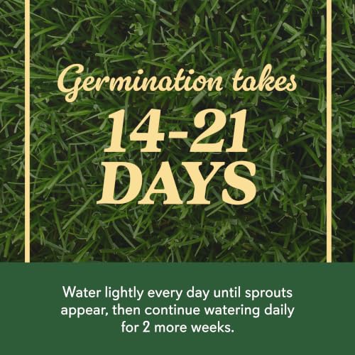 O.M. Scott & Sons Bermudagrass Grass Seed, 5 lbs. - color: Bermudagrass, size: 1 Pack