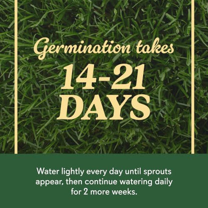 O.M. Scott & Sons Bermudagrass Grass Seed, 5 lbs. - color: Bermudagrass, size: 1 Pack