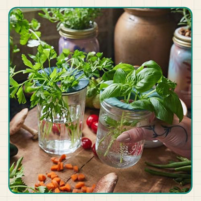 Modern Sprout Hydroponic Grow Kit Bundle with Herb Saver Set - color: Garden Jar 3pk+ Keeper