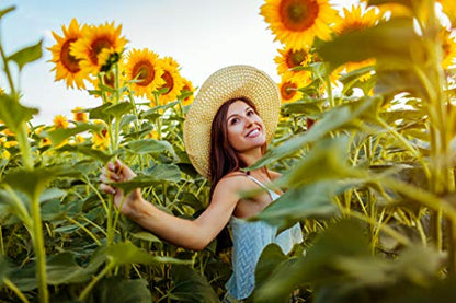 NatureZ Edge 5200+ Sunflower Seeds for Planting Bulk Variety Pack, Get More Sunflower Seeds to Plant, from Dwarf Sunflowers to Giant Sunflower Seeds, Includes Mammoth Sunflower Seeds, Non-GMO - size: 8 oz- 5200 Seeds