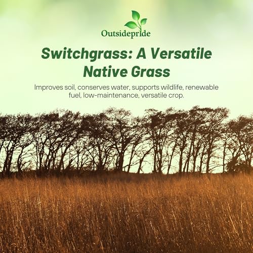 Outsidepride Switchgrass Seed - 10 lbs. Perennial Hardy, Drought & Flood Tolerant Native Grass Seed Ideal Fast-Growing Grasses for Erosion Control, Wildlife Forage & Food Plots, Thrives in Poor Soil - size: 10 lb.