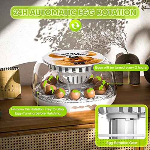 Upgraded Auto Digital Incubator, 12 Eggs Natural Incubation Simulator, Auto Egg Rolling and Water Fulfilling, 24H Temperature Control, with Egg Flashlight, Easy Newcomer Poultry Incubation