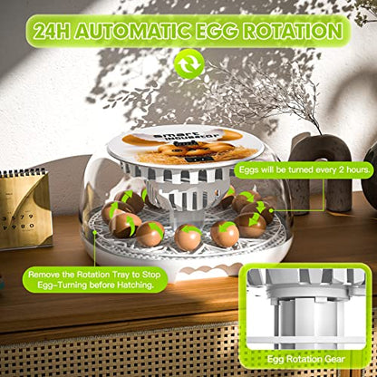 Upgraded Auto Digital Incubator, 12 Eggs Natural Incubation Simulator, Auto Egg Rolling and Water Fulfilling, 24H Temperature Control, with Egg Flashlight, Easy Newcomer Poultry Incubation