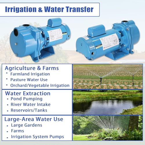 GT15 Self-Priming Centrifugal Pump,1.5HP Motor/230 Volts