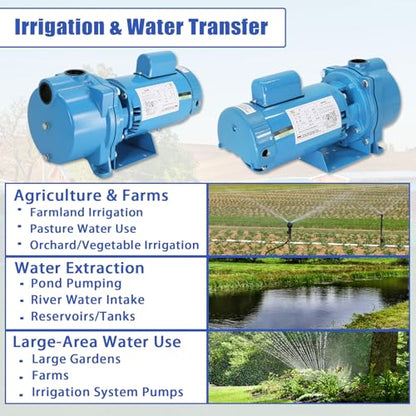 GT15 Self-Priming Centrifugal Pump,1.5HP Motor/230 Volts