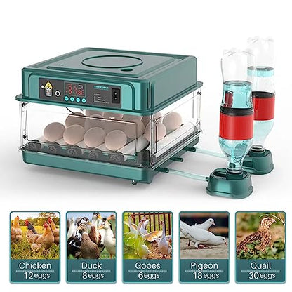 Automatic Egg Incubator 12-38 Egg Digital Poultry Hatcher Machine ith Automatic Egg Turning, Temperature & Humidity Control, Efficient LED Lighting for Chicken Geese Ducks Pigeons Quails (12 Eggs) - style: 12 Eggs