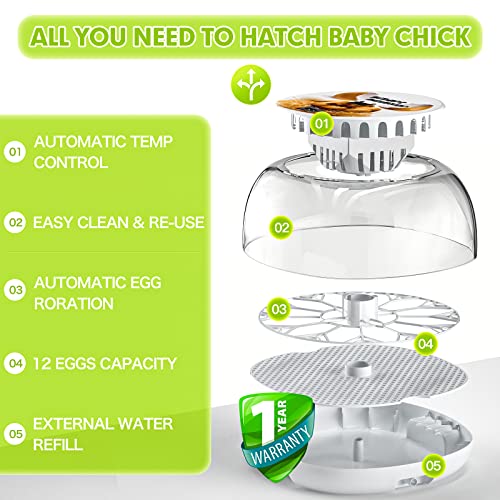 Upgraded Auto Digital Incubator, 12 Eggs Natural Incubation Simulator, Auto Egg Rolling and Water Fulfilling, 24H Temperature Control, with Egg Flashlight, Easy Newcomer Poultry Incubation