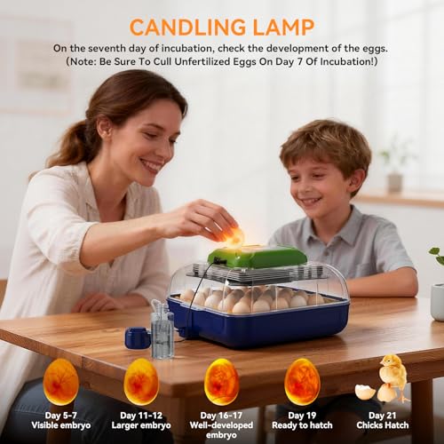 25 Egg Incubators for Hatching Eggs with Automatic Turner, Digital Temperature & Humidity Control, Built-in Egg Candler, External Water Refill, for Hatching Chicken, Duck,Goose, Home, School Use
