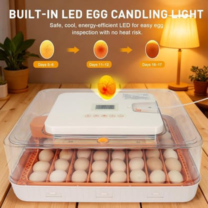 Series IV - 56 Egg Professional Incubator for Breeders, Automatic Sensor-Based Precise Humidity & Temp Control, Adjustable Egg Spacing, Auto Turn & Auto Stop, Preset Incubation Days, Chick Separator - size: 56-Egg Orange