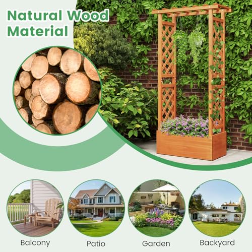 LDAILY Raised Garden Bed with Trellis, Above Ground Garden Bed with Hanging Roof, Side Trellis, & Drainage Holes, Planter Box for Outdoor Climbing Plants Vines Flowers (1, 31" L x 14" W x 60" H) - size: 31" L x 14" W x 60" H