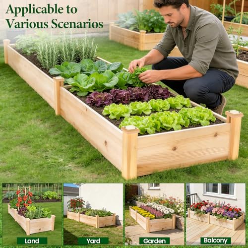 MIXC 8×2ft Wooden Horticulture Raised Garden Bed Outdoor Divisible Elevated Planting Planter Box for Vegetables, Herbs, Strawberry, Flowers in Backyard and Patio, Natural Wood - size: 96”L X 24”W