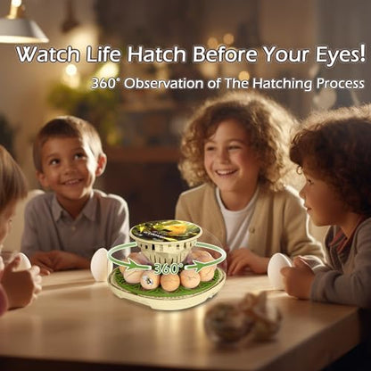 Smart Chicken Incubators for Hatching Eggs with Automatic Turner Small Poultry Duck Quail 12 Egg Incubator Temperature Control Display Hatcher Machine (Chirvy) - color: Chirvy