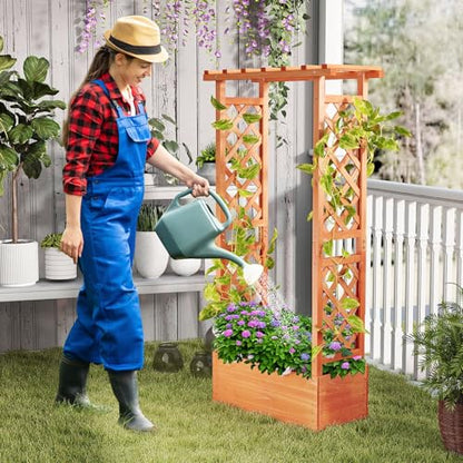 LDAILY Raised Garden Bed with Trellis, Above Ground Garden Bed with Hanging Roof, Side Trellis, & Drainage Holes, Planter Box for Outdoor Climbing Plants Vines Flowers (1, 31" L x 14" W x 60" H) - size: 31" L x 14" W x 60" H