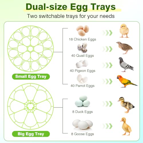 18 Egg Incubators for Hatching Eggs, Egg Incubator with Temperature Control, Humidity Display, Auto Egg Turner, Egg Candler, 2 Size Egg Trays, Digital Incubator for Chicken, Duck, Quail Eggs