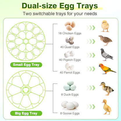 18 Egg Incubators for Hatching Eggs, Egg Incubator with Temperature Control, Humidity Display, Auto Egg Turner, Egg Candler, 2 Size Egg Trays, Digital Incubator for Chicken, Duck, Quail Eggs