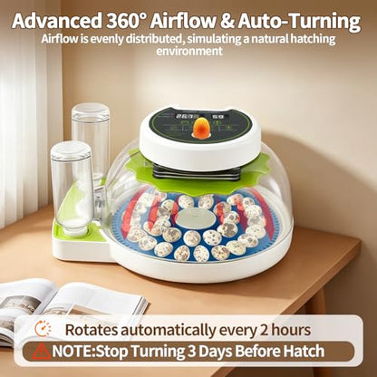 Quail Egg Incubator for Hatching 33 Quail Eggs with Automatic Turner & Humidity Control, Small Quails Brooder, Poultry Egg Incubator for Hatching Parrot Canarys Goose Pigeon in Home Farm - size: 33 Units