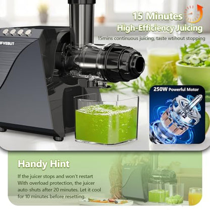 Cold Press Slow Juicer with Electric Coffee Grinder for Ginger - color: Meteorite Grey