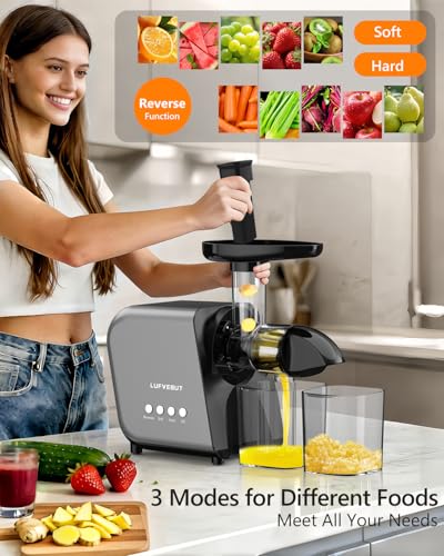 Cold Press Masticating Juicer 250W Slow Extractor for Whole Celery & Carort - color: Sliver
