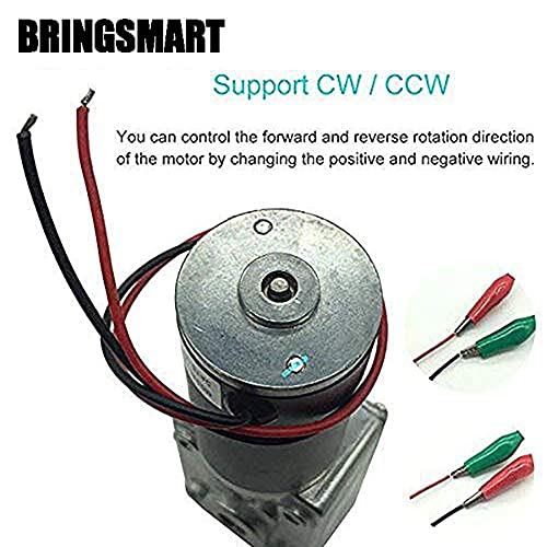 BRINGSMART 24V 5rpm DC Worm Gear Motor Self-Locking Mini Engine Turbine - size: 24V 5rpm