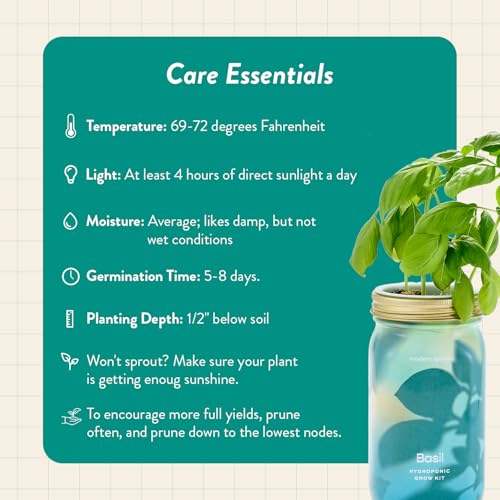 Modern Sprout Mason Jar+Replant Kit- Self-Watering Hydroponics System-Basil - color: Basil, size: Garden Jar + Replant Kit