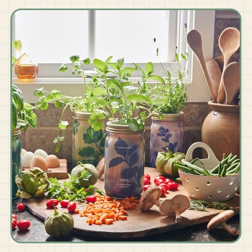 Modern Sprout Mason Jar Herb Garden Kit Indoor - color: Ultimate Herb Garden Set