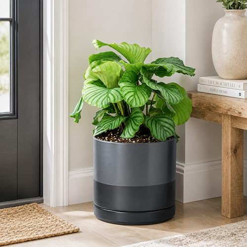D'vine Dev 10 Inch Ceramic Planter Pot, Slate, 94-O-E-5 - color: Slate, size: Large