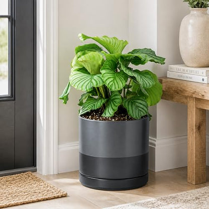 D'vine Dev 10 Inch Ceramic Planter Pot, Slate, 94-O-E-5 - color: Slate, size: Large