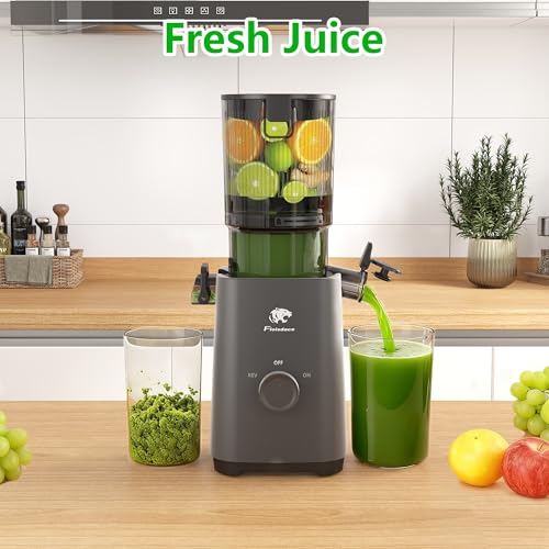 Cold Press Juicer Machines, 5.3" Large Feed Chute Slow Masticating Juicer, Powerful AC Brushless Motor Fit Whole Fruits & Vegetable, 99% Juice Yield, Ultra Quiet, Easy Clean - color: Grey