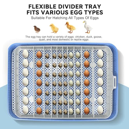 Series IV - 70 Egg Incubator for Breeders, Sensor-Based Precise Humidity + Temp Control, Chick Separator, Adjustable Egg Spacing, Custom-Interval Auto Turn + Auto Stop, Preset Incubation Days