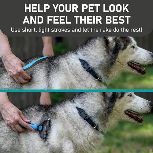 Maxpower Planet Pet Grooming Rake and Dematting Comb, Pet Pro - color: C - Rake and Comb Kit (Best Value), size: Large