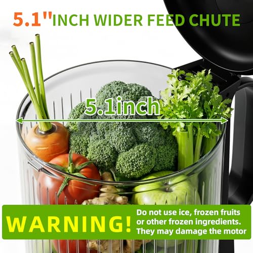 5ive Cold Press Juicer, 5.1" Juicer Press with 41oz Capacity for Fruits Veg - color: Silver Gray