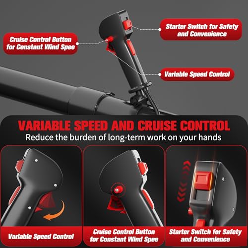 TDH Backpack Leaf Blower,63CC Backpack Blower with 665 CFM & 205 MPH - color: Black