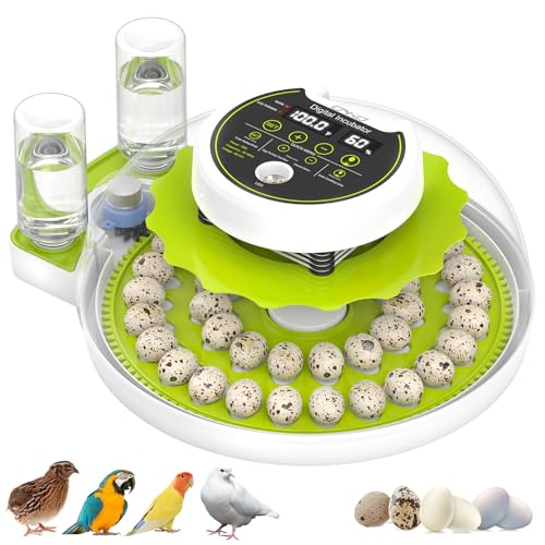 Quail Egg Incubator with Automatic Turner and Humidity Control | Quail Incubators for 40 Hatching Eggs,Outdoor Poultry Egg Incubator, Suitable for Parrot Canary and Other Bird - color: Green