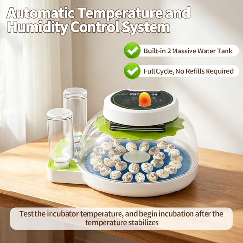Quail Egg Incubator for Hatching 33 Quail Eggs with Automatic Turner & Humidity Control, Small Quails Brooder, Poultry Egg Incubator for Hatching Parrot Canarys Goose Pigeon in Home Farm - size: 33 Units